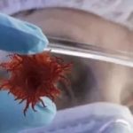 【文獻精度】蛋白組+三代全長轉錄組致力于腫瘤標志物的研究