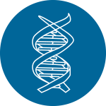 加權基因共表達網絡分析
