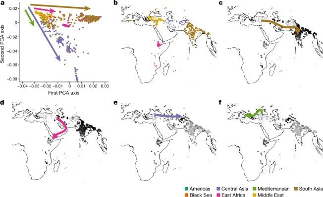 鷹嘴豆馴化和傳播路徑