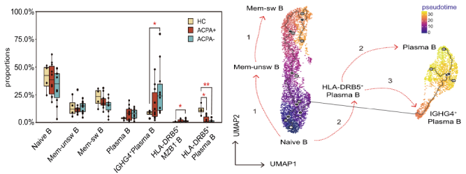 類風濕關節炎患者外周血B細胞分析 類風濕關節炎患者外周血B細胞分析