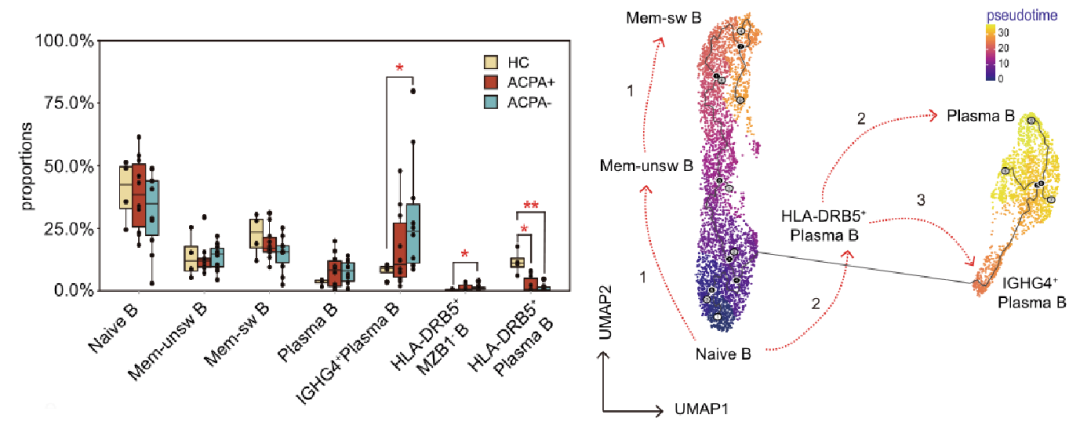 圖1?利用Monocle推斷類風濕性關節炎PBMCs B細胞的分化軌跡[3]