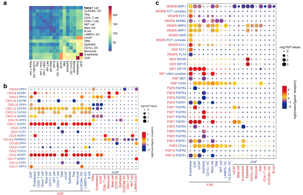 圖3?利用CellPhoneDB分析膀胱癌不同細胞類型間配體-受體相互作用[6]