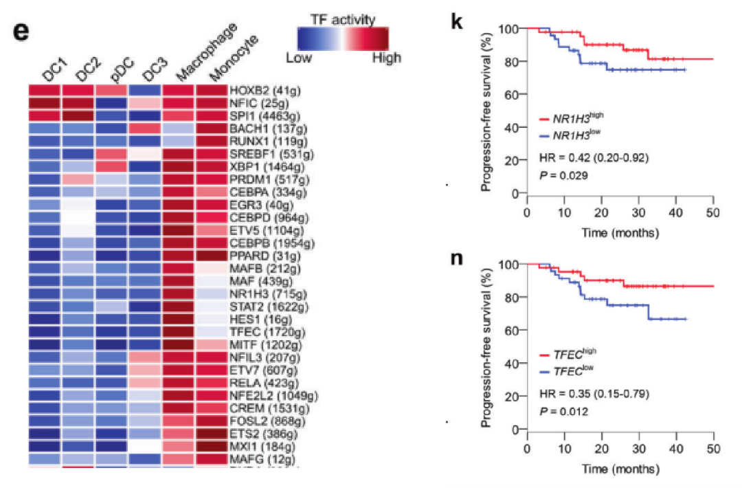 圖7??基于SCENIC分析鼻咽癌關鍵調控轉錄因子[9]