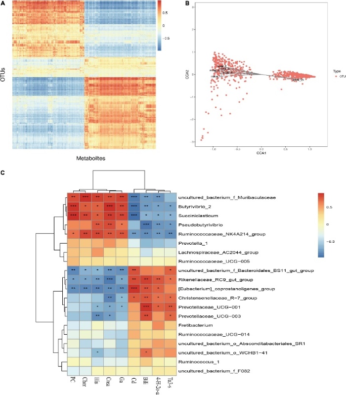 文章案例：瘤胃微生物和代謝物的相關(guān)性分析