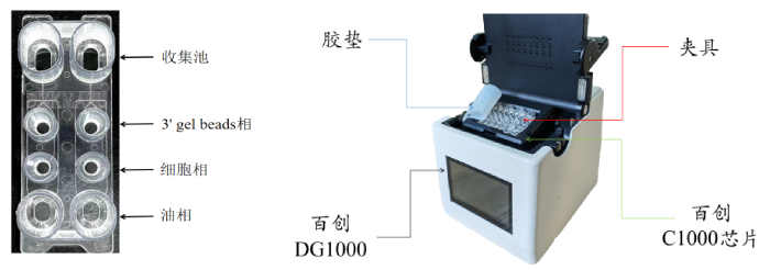 圖1：百創C1000芯片結構（左圖）；百創DG1000微液滴生成儀（右圖）