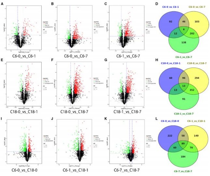差異累積代謝物的火山圖,以及對照與其時間點的比較