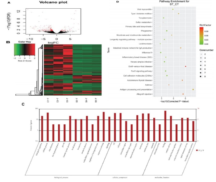 圖 3 黃河魚新品與對照組腸道轉錄組 DEGs 分析