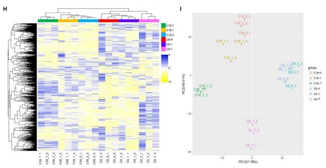 非靶向代謝組的無監督層次聚類分析和 PCA 分析
