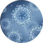 功能基因測(cè)序