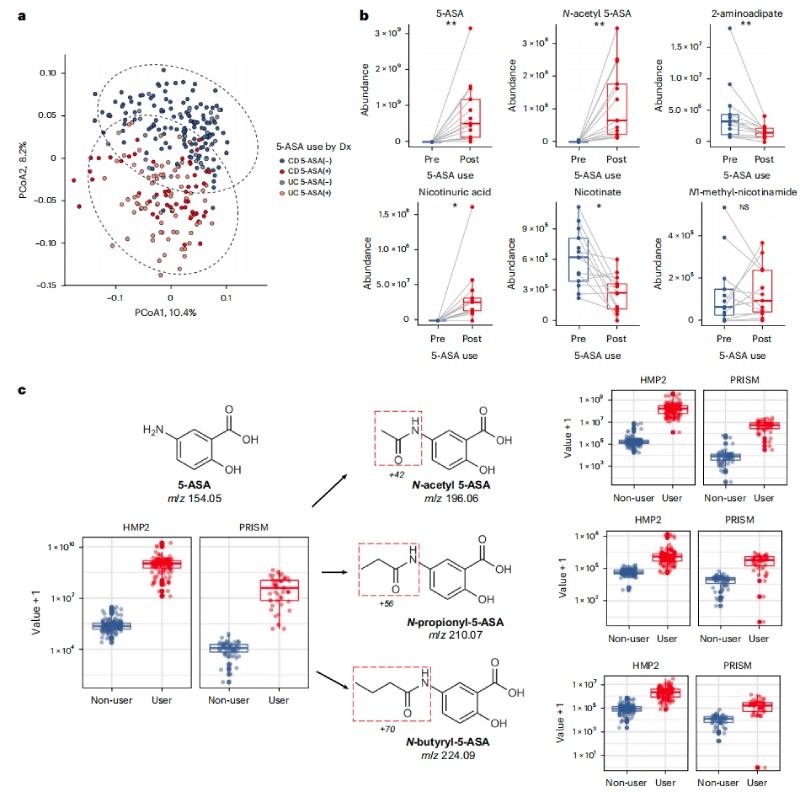 5-ASA可直接影響糞便代謝組,并通過微生物組進行生物轉化